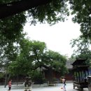 여주-1073 이미지