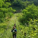 천주산 입구 이미지