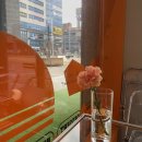 선샛 이미지