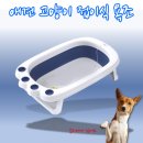 애견목욕탕 이미지