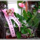 대구굿모닝병원 이미지