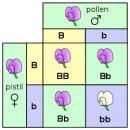 생물학(生物學, 영어: biology) 이미지