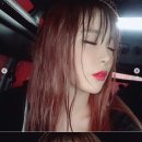 홍진영 카카오 검색결과