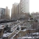 현대아파트길 이미지