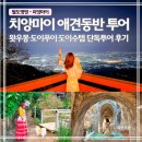도이 | 치앙마이 애견동반 일일 투어 여행코스｜왓우몽·도이뿌이·도이수텝 후기