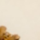 경부한의원 이미지