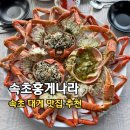 속초 대게 맛집 등대해변 포차거리 가성비 추천, 속초홍게나라
