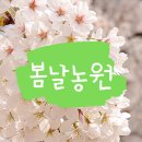 가평카라반캠핑농원 이미지