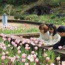 만리포몰디브 이미지