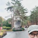 *강릉수목원가는길 15코스(17.2km)...♡ 이미지