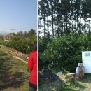 수산2농장 이미지