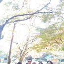 유천중학교 이미지