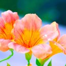 평리1동주민센터 이미지