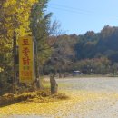 구일농장 이미지