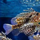 재림열쇠 이미지