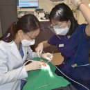 서울튼튼치과의원 이미지