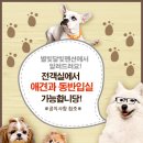 달빛바다펜션 이미지