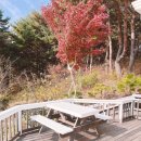 바다애보석 이미지