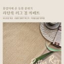 스타일수 이미지