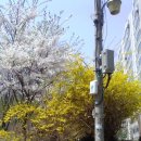 500 당구클럽 이미지