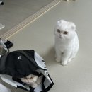 백천목욕탕 이미지