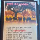 흑돼지삼백식당원주본점 이미지