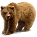 작전여자고등학교 이미지