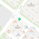 멍블랑 강아지분양 시흥배곧점 이미지