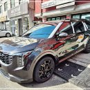 판테라짐 | 2025 카니발 하이브리드,7인승과9인승 장기렌트 출고소식(컬러_판테라메탈)