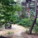 동화마을수목원 이미지