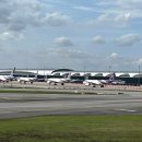 법사 행정사 이미지