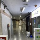이십일세기새롬약국 | 화정두피 화정탈모관리는 웰킨일산화정점에서