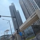센트로 짐 | 원주자이센트로 줄눈시공 ㅣ욕실 벽·바닥 전체 + 거실 포세린타일 시공