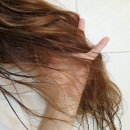 쇼킹 | 향기 좋은 단백질 샴푸 추천 쇼킹클리닉 쇼킹샴 두피샴푸 사용 후기