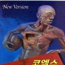 가본
