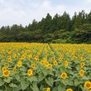 신풍유지(주) 이미지