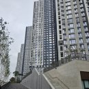 라프리모아파트 107동 앞 횡단보도 | 일산 퍼스트월드 1단지 임장 후기