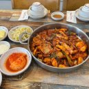 조가네갑오징어 이미지