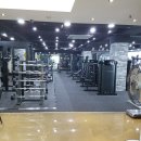 디와이(DY)