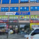 별 태권도장 이미지