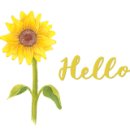 재일목장 이미지