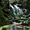 속초1리 마을회관 이미지