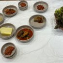 토실배기 이미지