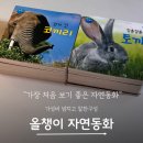 자연동화 | 자연동화 첫 전집 올챙이자연동화 내돈내산후기(놀라운자연과 비교)