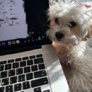 연세킹의원 | 연세하임산부인과