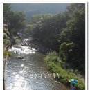 배내허브랜드 이미지