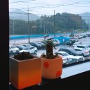 나진약국 이미지