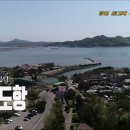 돌고래좌대낚시터 이미지