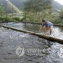 아리랑라이브7080 이미지