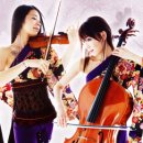 무드무드 이미지